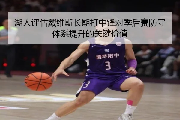 湖人评估戴维斯长期打中锋对季后赛防守体系提升的关键价值