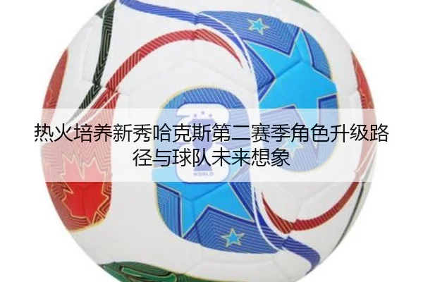 热火培养新秀哈克斯第二赛季角色升级路径与球队未来想象